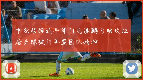 申花顽强追平津门虎谢鹏飞助攻拉唐头球破门再显团队精神
