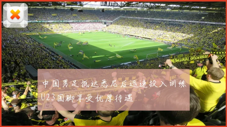 中国男足抵达悉尼后迅速投入训练U23国脚享受优厚待遇